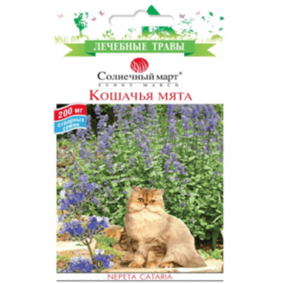 Кошачья мята (НЕТ В НАЛИЧИИ)