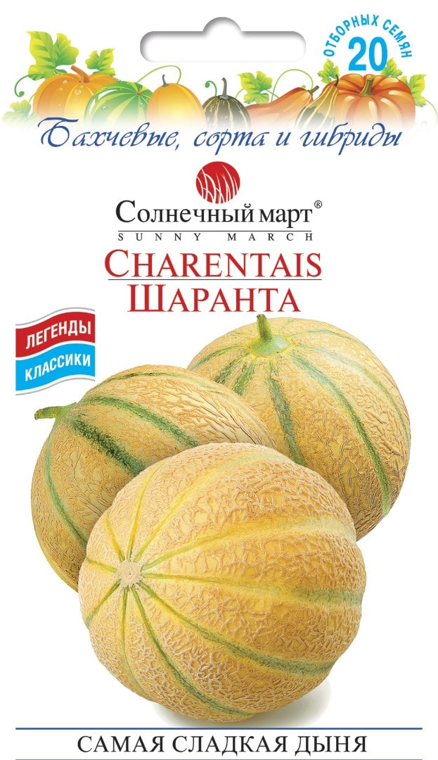 Дыня шаранте описание сорта фото отзывы садоводов