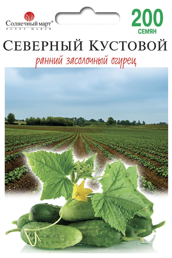 Купить Семена Огурцов Кустовой